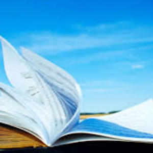 Consigli di lettura per l'estate di Alessandra Tedesco