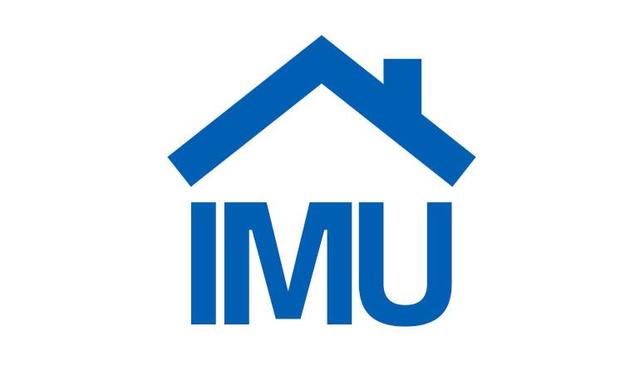 Saldo IMU 2020