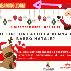 Che fine ha fatto la renna di Babbo Natale?