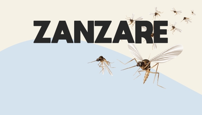 Zanzare: Un opuscolo per aiutarci a riconoscerle, prevenirne la diffusione e proteggerci Zanzare: Un opuscolo per aiutarci a riconoscerle, prevenirne la diffusione e proteggerci