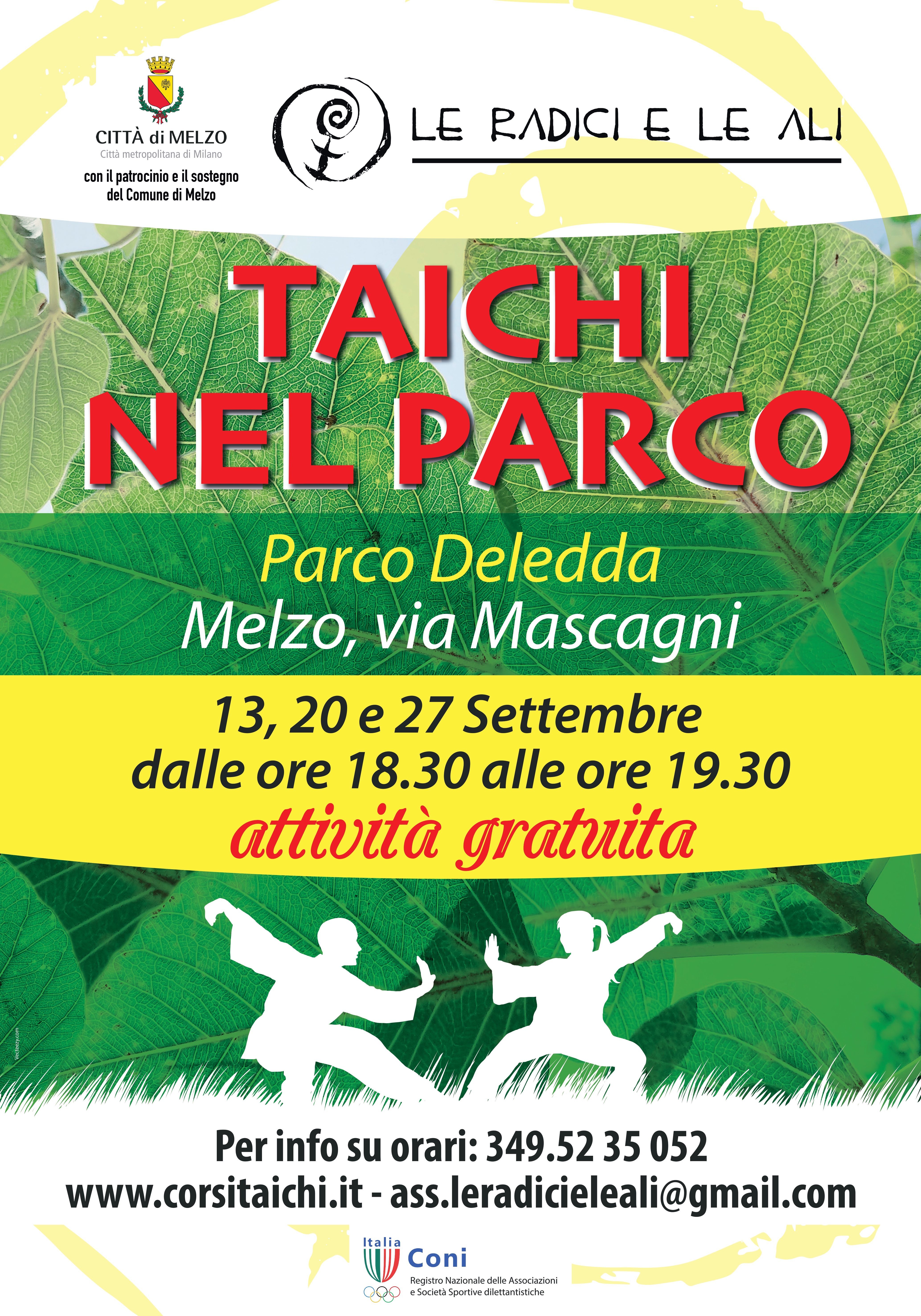 Taichi  nel parco