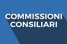 Commissione Consiliare Programmazione ed Assetto del Territorio – Tutela ambientale
