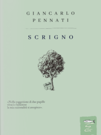Scrigno di Giancarlo Pennati: presentazione del libro in biblioteca