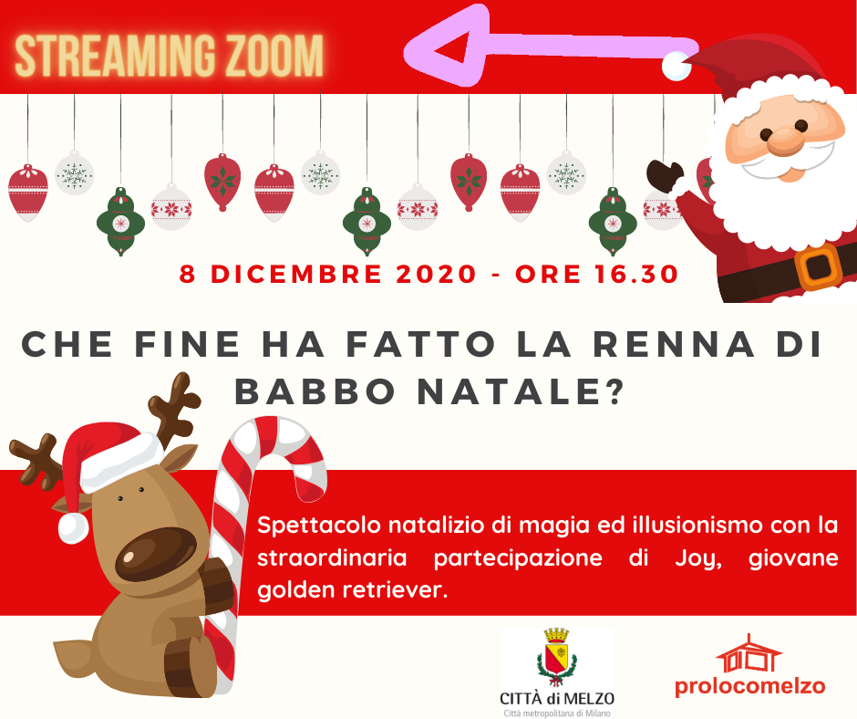 Che fine ha fatto la renna di Babbo Natale?