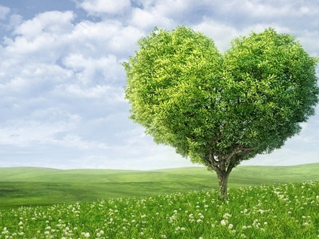 titolo immagine