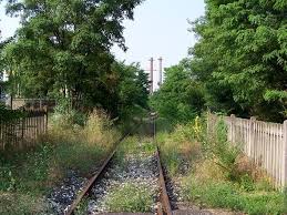 Obbligo del taglio di rami ed alberi interferenti con la sede ferroviaria